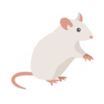 Top pets food for Rodents in India