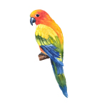 Best pet food for conures and medium parrots in India